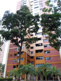Blk 72 Telok Blangah Heights (Bukit Merah), HDB 5 Rooms #255782